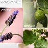 Pureology Hydrate Moisturizing Vegan Shampoo, 9 fl Ounces