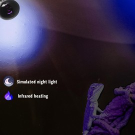 SPOTTEDSALAMANDER 2PACK Reptile Night Heat Lamp, 75W Moonlight Infrared Heating Lamp, Purple Heat Bulb for Bearded Dragon, Lizard, Snake, Turtle (100W)