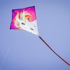 In the Breeze 3259-30" Diamond Kite - Fun, Easy Flying