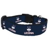 College Dog Collar (Medium, UConn)