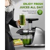 AMZCHEF Cold Press Masticating Juicer Machine - 90% Yield Reverse