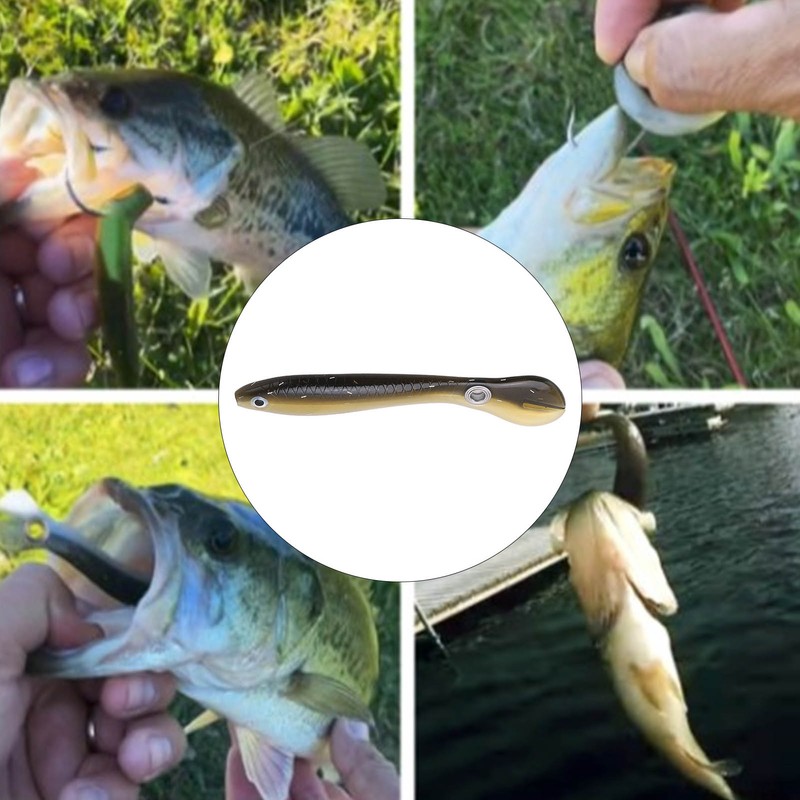 5pcs/set 10cm 6g Soft Lure with 3D Eyes Enlarged Tail