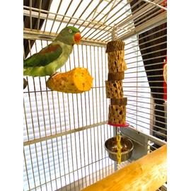 Polly's Cactus Delights (Brown, Large)