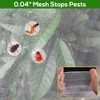 Large Fruit Tree Netting with Zipper & Drawstring for Plant