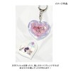 RSK-320 Resin Set Beginners Shaker Molded Heart