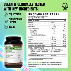 BODi Recover Plant-Based Protein Powder Blend– Post-Workout Chocolate Plant-Based Supplement for Muscle Recovery with 20g Protein, BCAAs, Pomegranate Extract - Fast Recovery - 20 Serving Tub