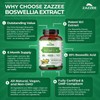 Zazzee Extra Strength Boswellia 10:1 Extract, 65% Boswellic Acid, 180