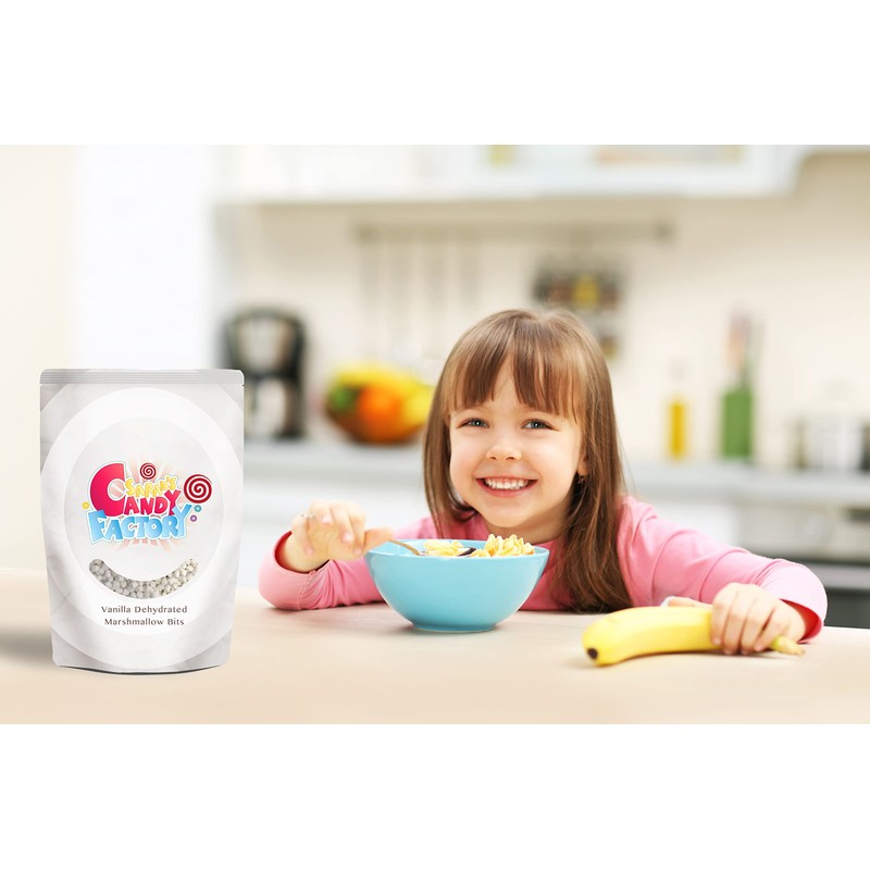 Sarahs Candy Factory Vanilla Mini Dehydrated Marshmallow Bits in Resealable