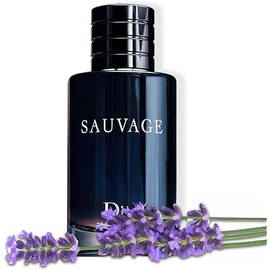 D.Sauvage for Men Eau de Toilette Spray,Men's Casual Cologne Spray Refreshing & Warm Masculine Scent for Daily Use. 3.4 Fl Oz/100ml, Inspired by dioor Sauvage.