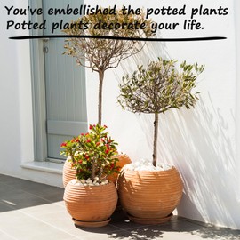 Calofulston 15 LB White Pebbles for Plants, 3/8 inch White Rocks for Vases Landscaping, Small Decorative Stones for Indoor Outdoor, Polished, Come with Gloves