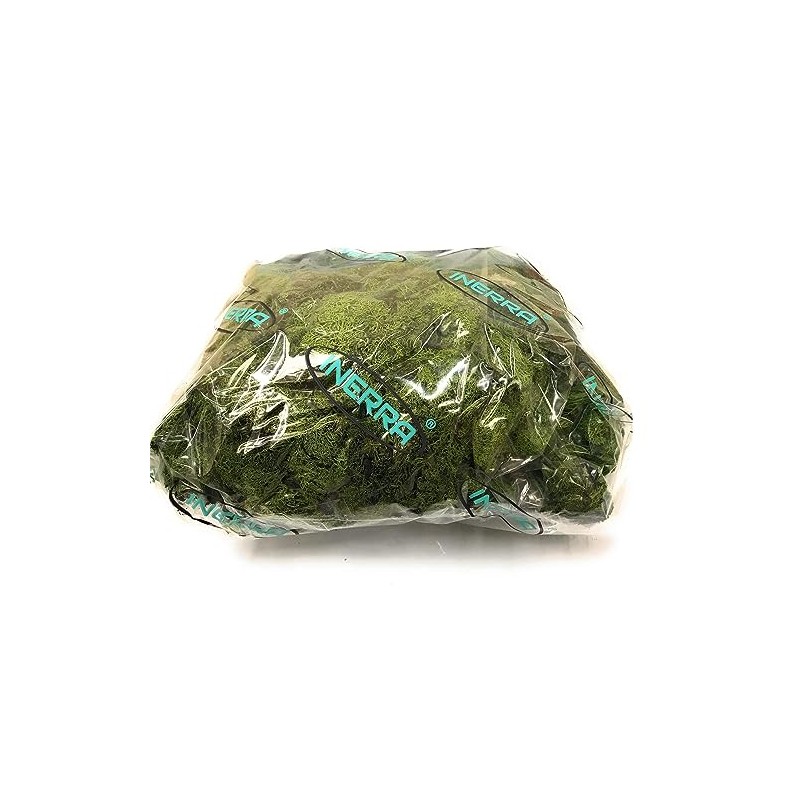 INERRA Finland Moss - Dark Green - Reindeer Moss Craft