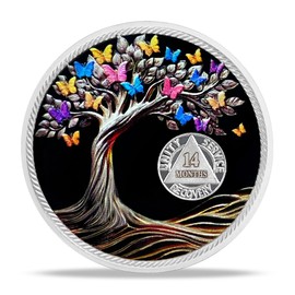 14 Month Sobriety Coin Gifts | Sun and Black Butterfly AA Coin - HA AA Chip Medallion with Serenity Prayer | Narcotics Alcoholics Anonymous Gifts for Anniversary Year for Men & Women in Recovery