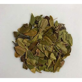 Organic Uva Ursi Dried Herb (Actostaphylos uva-ursi) (100g)