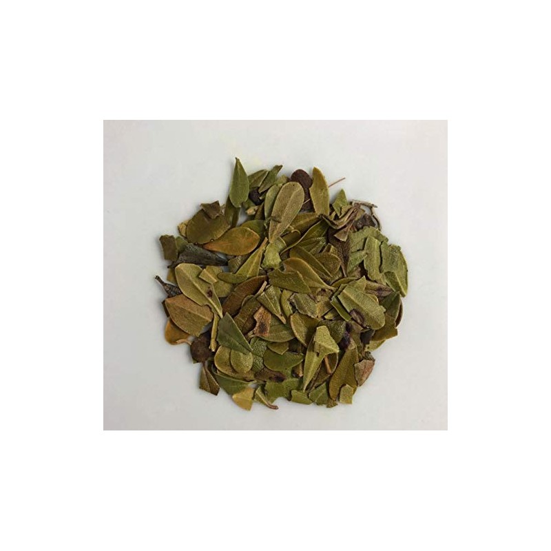 Organic Uva Ursi Dried Herb (Actostaphylos uva-ursi) (100g)