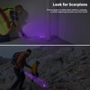 LEAGY 6 Pack UV Ultra Violet Blacklight 9 LED Flashlight