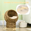 PawHut Handwoven Elevated Cat Bed with Soft Cushion & Egg