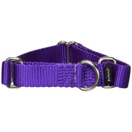 PetSafe Martingale Collar, 3/4" Small, Deep Purple