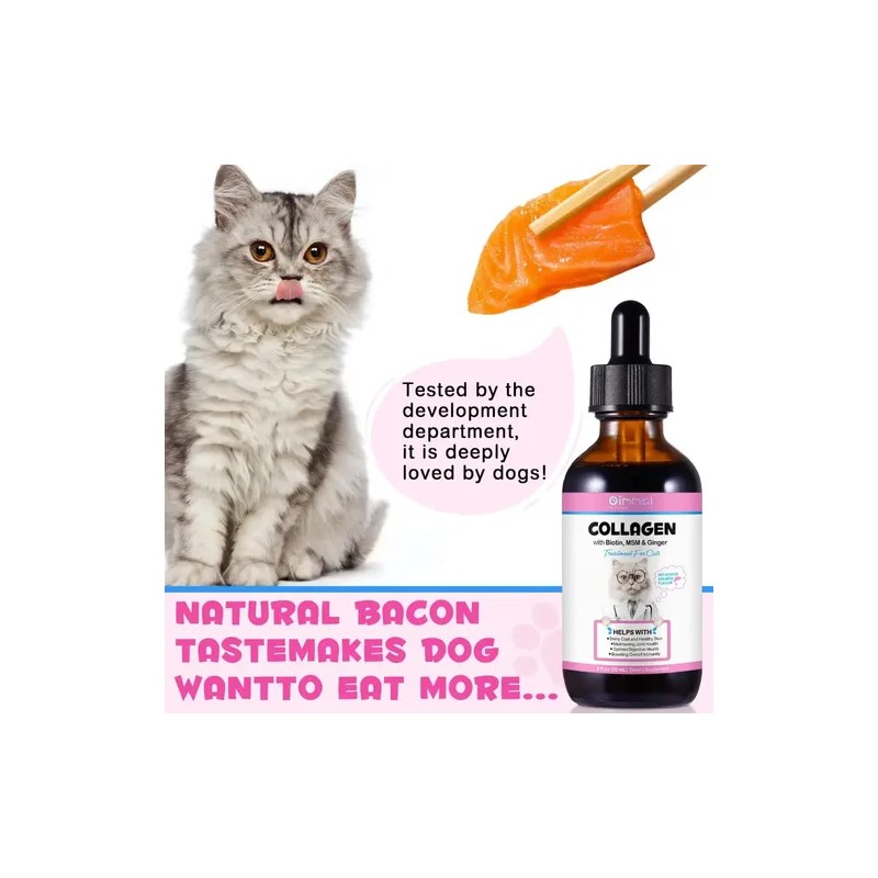 Suplemento Gatos Colágeno Biotina Piel Y Digestión Saludable