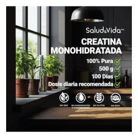 Creatina Monohidratada 100 Pura - 500 Gramos - Sv Sin Sabor                                                                                           