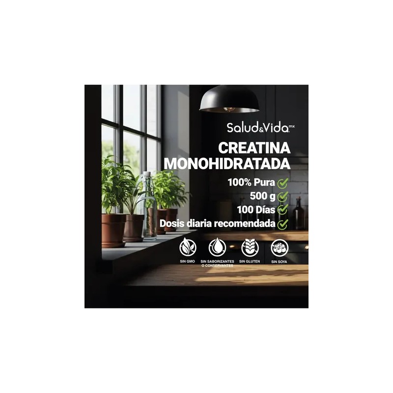 Creatina Monohidratada 100 Pura - 500 Gramos - Sv Sin