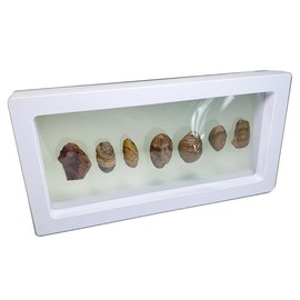 メノウ岩 ミネラルコレクション デスクテーブルオーナメント メンズ レディース ホーム オフィス 装飾 風水 石 富 宝石 標本