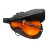 Vio Music® Thick Foam Padded Soft Cello Bag (1/2)