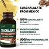 Cuachalalate Drops Support Digestive Health, Stomach Ulcer, Gut Health &
