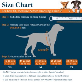 VIVAGLORY Lightweight Dog Life Jacket, Pet Life Preserver Life Vest Skin-Friendly Neoprene for Small Dogs with D-Ring and Quick Release Buckle, Northeast Florals-Red