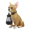 Ebros Picante Mexican Chihuahua Dog Decor Path Lighter Statue 12.5"Tall