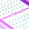 WL Wonder Lashes Künstliche Wimpern 6D für Professionell 0,07 Cluster