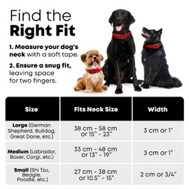 Regal Dog Products Small Red Waterproof Dog Collar and Leash Set - Vinyl Coated, Biothane Puppy Pet Training Collar with Heavy Duty Center Ring & 5'ft Leash - Other Sizes for Medium & Large Dogs