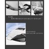 Fiat Dobro Maxi Car Windshield Cover R5.5~/Dobro 3rd Generation R5.5~/Fiat