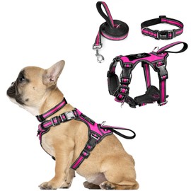WINSEE Pet Harness Collar and Leash Set, All-in-one Reflective Dog Harness No Pull with Adjustable Buckles for Puppies, Small, Medium, Large, and Extra-Large Dogs (Small, Rosy)