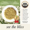 Wild Bliss Organic Elderflower Tea – Immune and Respiratory Support