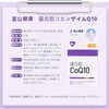 Toyama Chemical Reduction Type Coenzyme Q10, 60 Tablets, 30 Days