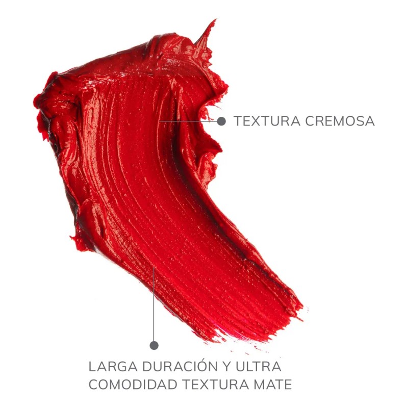 Labial Liquido Mate Frm Matte Liquid Lipstick | Farmasi Color
