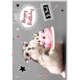 Funny Birthday Card with Cute Mouse, Pink Tarts, Happy Birthday Lettering and Hearts & Stars. Perfect for Friends and Family, Includes Envelope