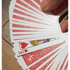 Bicycle Brainwave Deck - Increased Invisible Deck Effect | Mental Magic Trick Including German Instructions | Mental Magic Card Game for Magic Box | Magic Tricks Card Tricks Magic Item