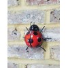 Fountasia 93601 Ladybird Wall Art, Marienkäfer, mittel