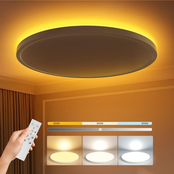 Aphyni Flush Mount Ceiling Light with Remote Control,12in 3CCT [2700K-6000K]