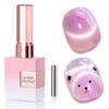 Double Rhythm 0.5 Oz Cat Eye Gel Polish with Magnet