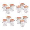 Apollo Clipseal Spice Jars - Pack of 4