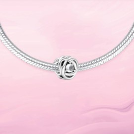 VALGACLS April Birthstone Charms 925 Sterling Silver Love Heart Charms for Bracelet Necklace, Happy Birthday Charm Eternity Circle Charm for Women