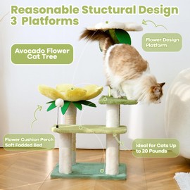 HYABi 40-Inch Avocado Cat Tree Tower - Small Garden Cat Condo with Multi-Level Activity Platform & Scratching Posts, Perfect for Indoor Kittens and Play