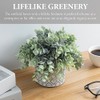 MyGift - Maceta de Cemento con diseño geométrico y con