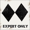 Expert Only Ski Slope Metal Sign, Double Black Diamond, Advanced, Alpine, Mountain, Cabin, Lodge