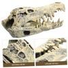 GRIRIW Resin Dinosaur Skull Statue Decorative Figurine for Home Office