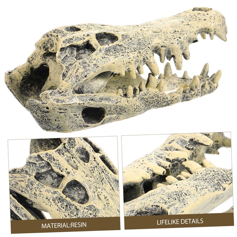 GRIRIW Resin Dinosaur Skull Statue Decorative Figurine for Home Office
