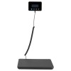 Dual Accuracy Postal Scale 200 Kg Lcd Display Hold Function