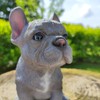 Vivid Arts - Pet Pals Blue French Bulldog Home or